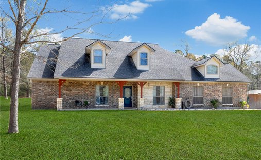 House in Willis, Texas, United States 1