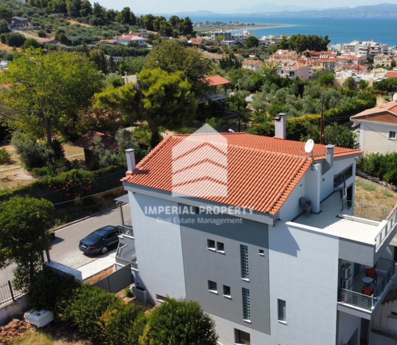 House in Oropos, Attica, Greece 2 - 17766603