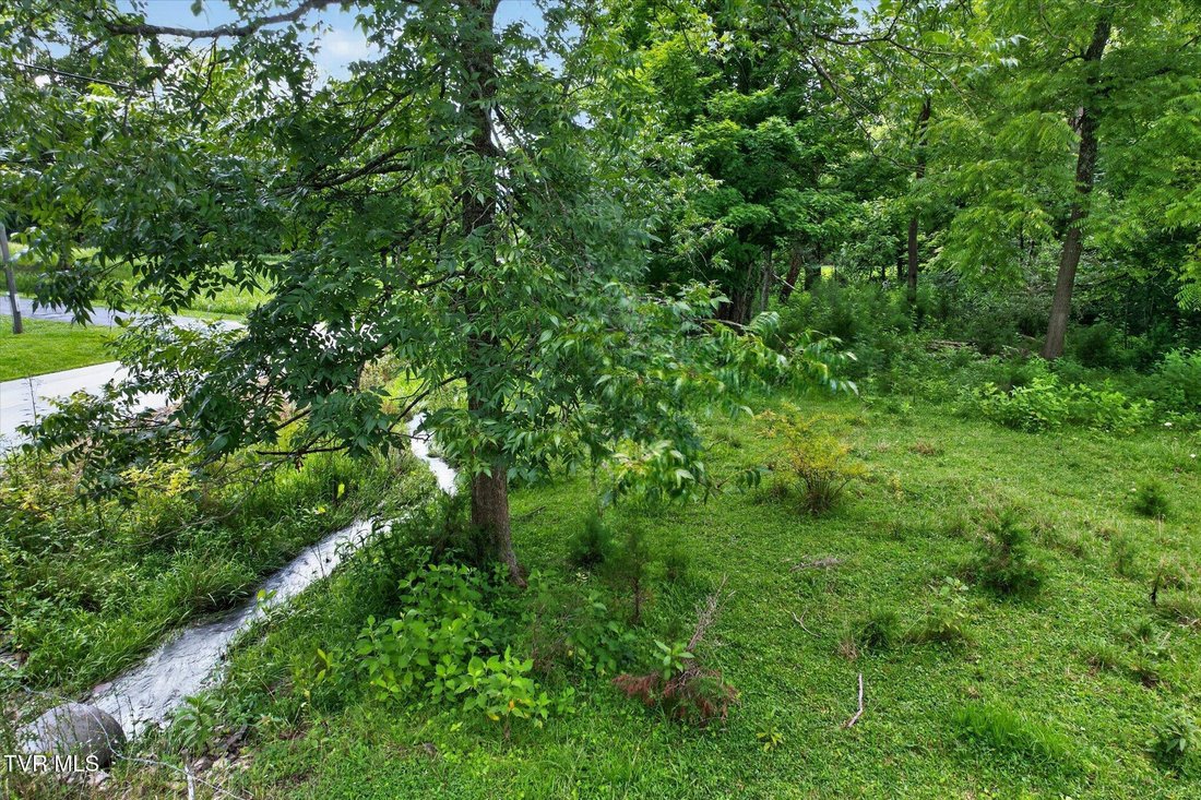 House in Bristol, Tennessee, United States 4 - 18503328