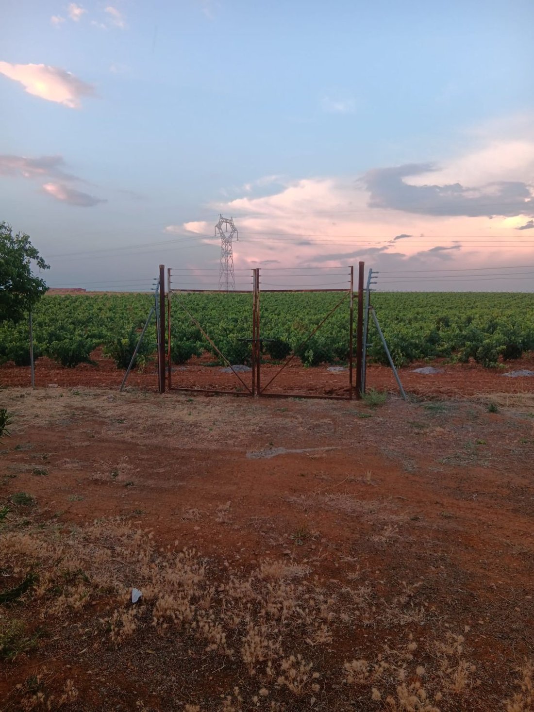 Farm Ranch in Villafranca de los Barros, Extremadura, Spain 1 - 18525672