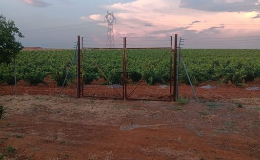Azienda agricola a Villafranca de los Barros, Estremadura, Spagna 1