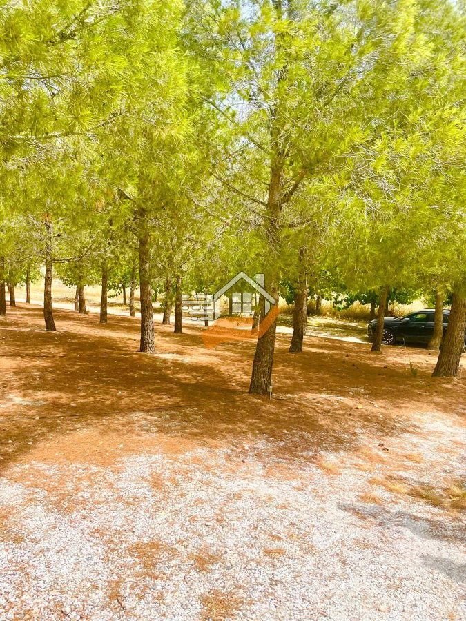 Country House in Velez-Rubio, Andalusia, Spain 3 - 18525680