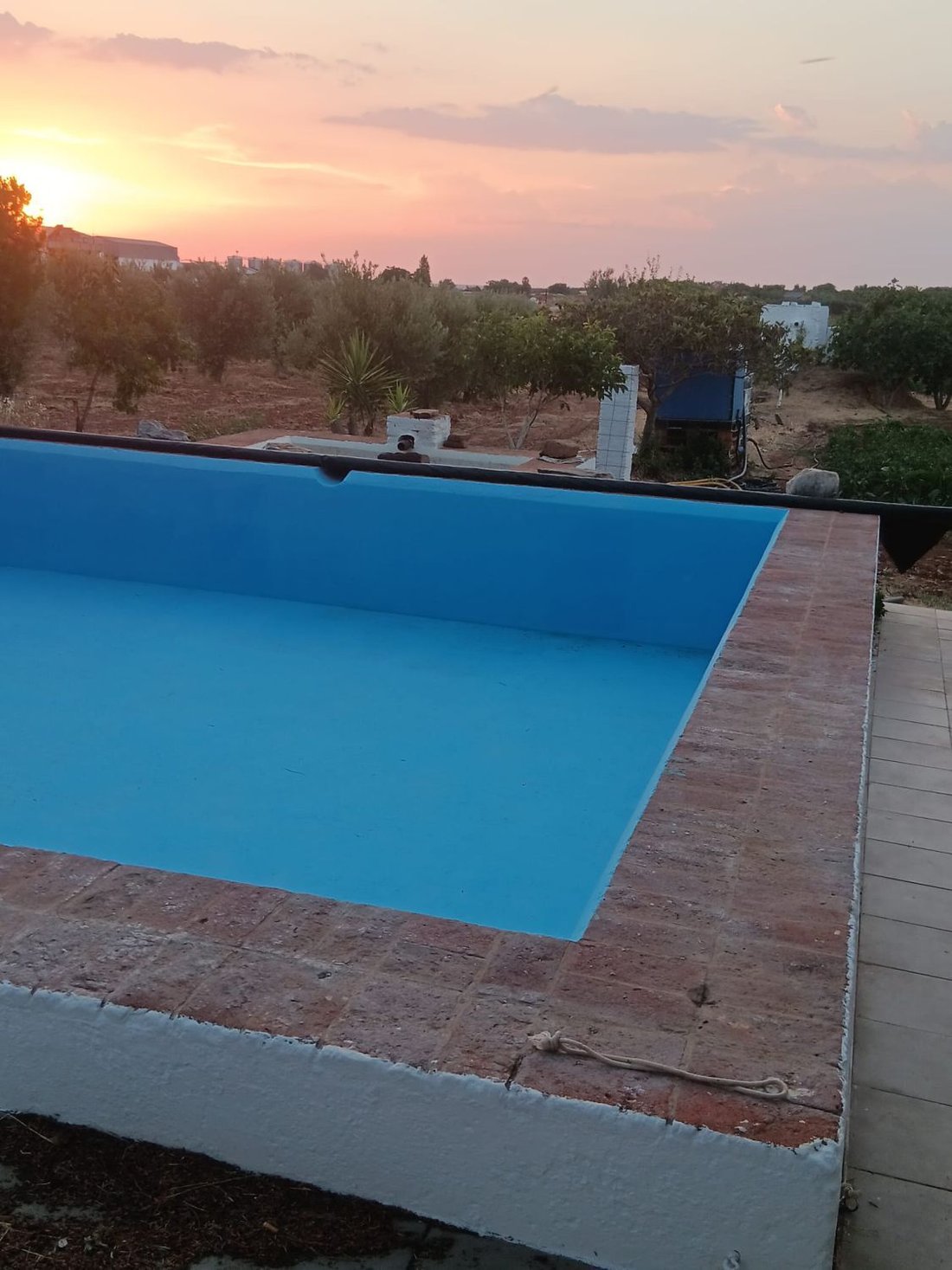Farm Ranch in Villafranca de los Barros, Extremadura, Spain 3 - 18525672