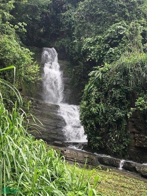 Land in Savegre de Aguirre, Puntarenas Province, Costa Rica 1 - 17804568