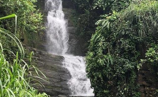 Land in Savegre de Aguirre, Puntarenas Province, Costa Rica 1