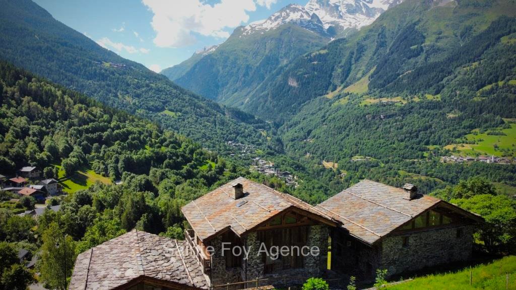 Chalet in Sainte-Foy-Tarentaise, Auvergne-Rhône-Alpes, France 1 - 18525571