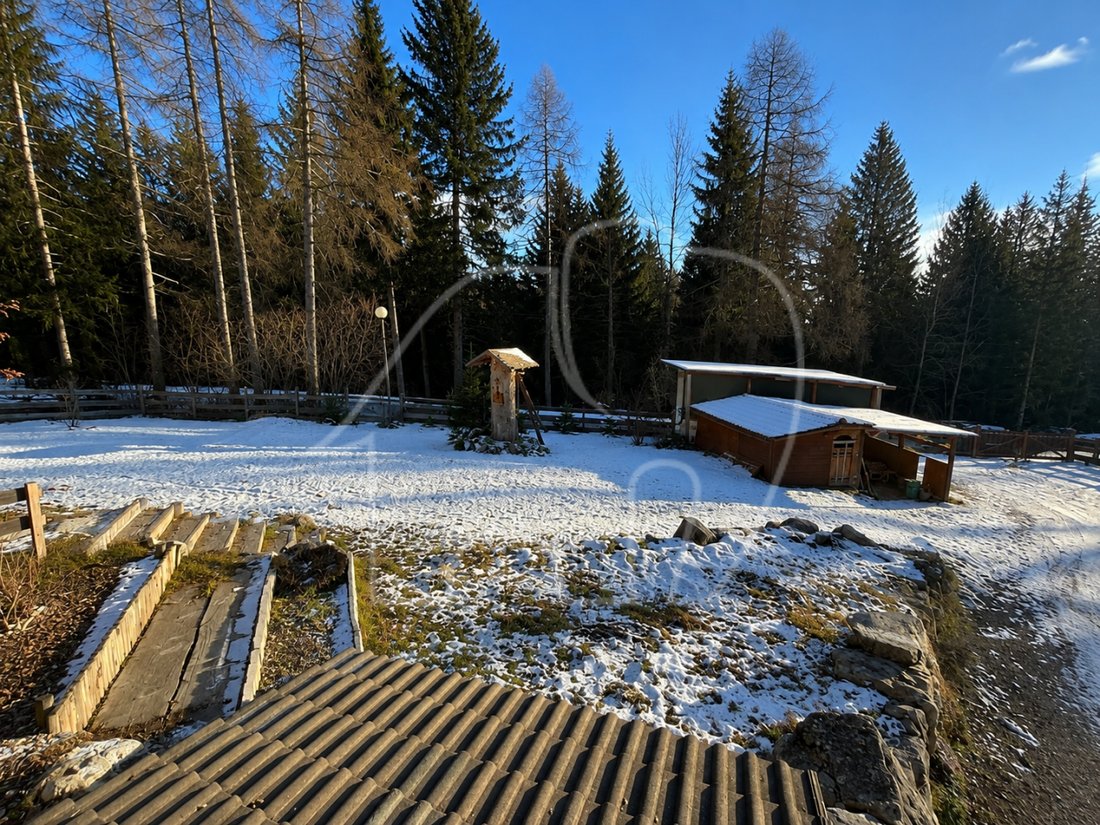 Villa in Borgo d'Anaunia, Trentino – Alto Adige/Südtirol, Italy 3 - 13681333