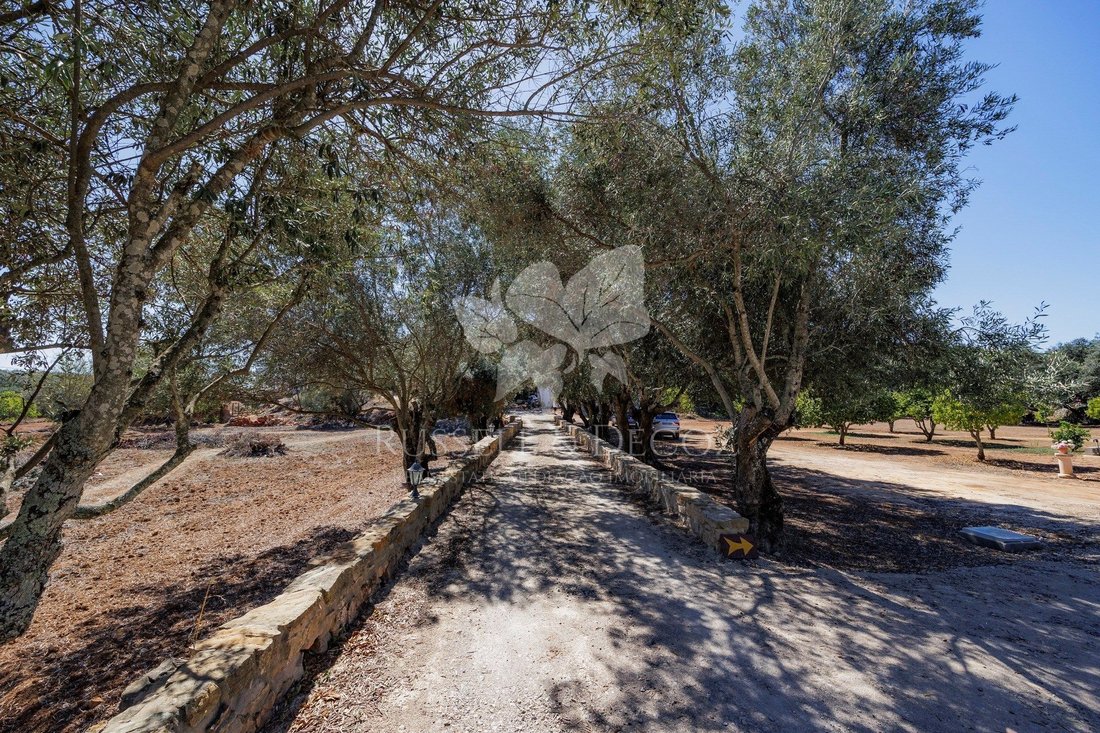 Farm Ranch in Santa Barbara de Nexe, Algarve, Portugal 2 - 14792305
