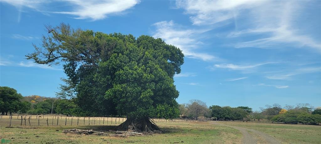 Terrain à Tamarindo, Santa Cruz, Costa Rica 1 - 17979080