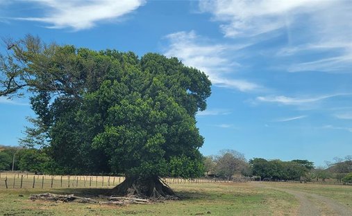 Land in Tamarindo, Santa Cruz, Costa Rica 1