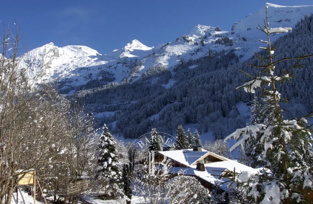 Land in La Clusaz, Auvergne-Rhône-Alpes, France 2 - 18526963