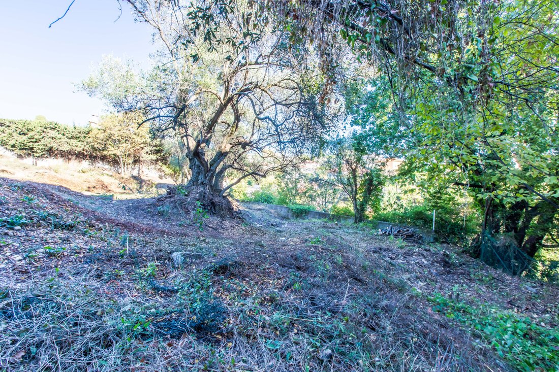 Land in Chambrun, Nice, France 5 - 18526401
