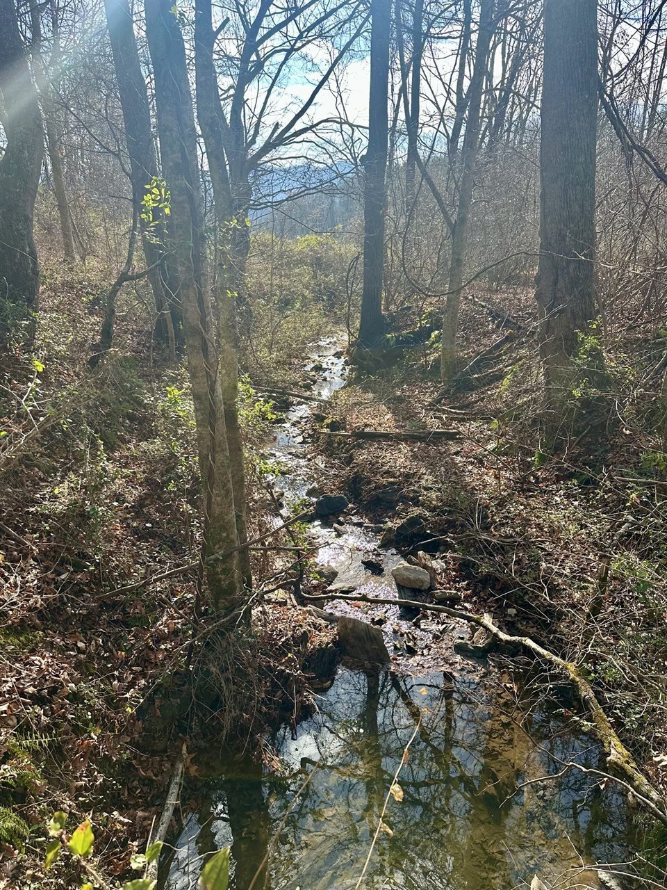 Land in Waynesville, North Carolina, United States 5 - 17475318