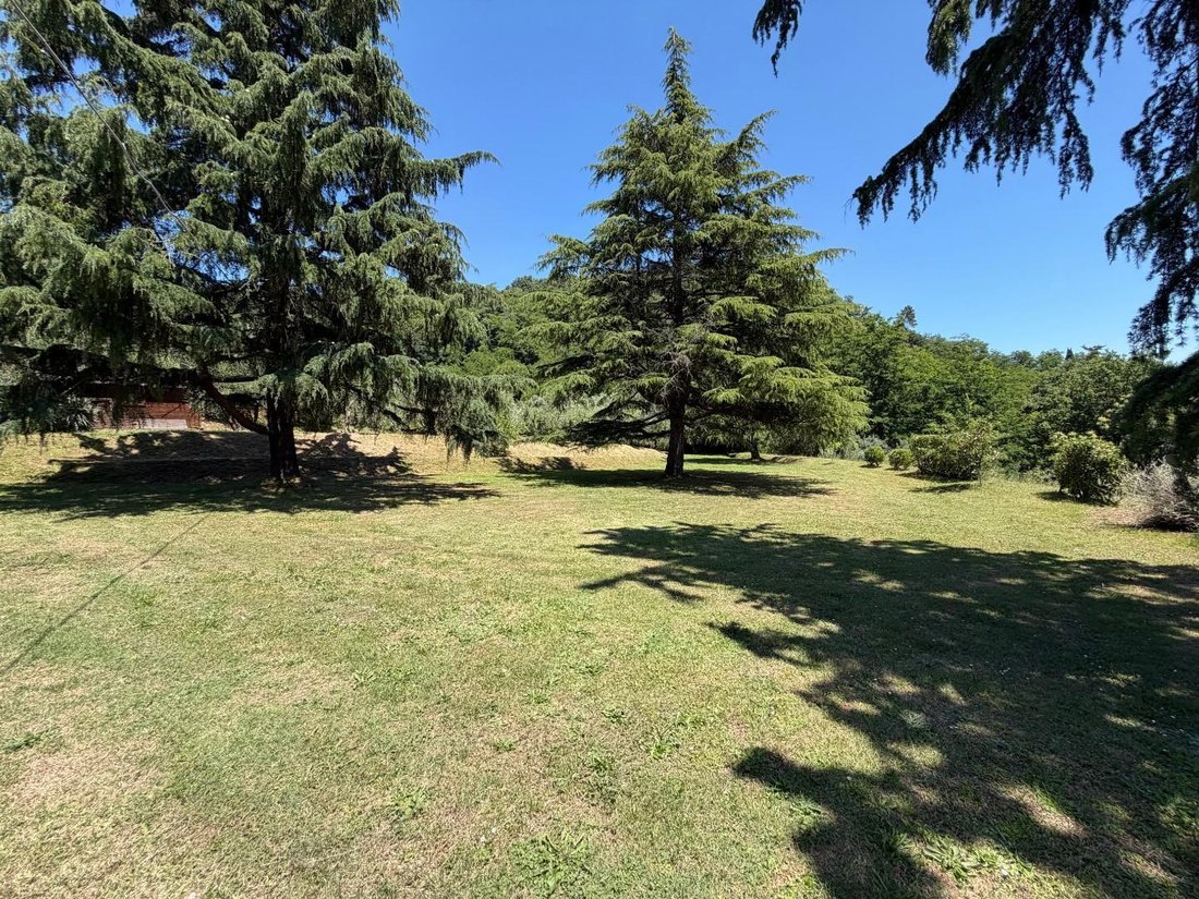 Villa in San Macario In Piano, Lucca, Tuscany 5 - 18526036