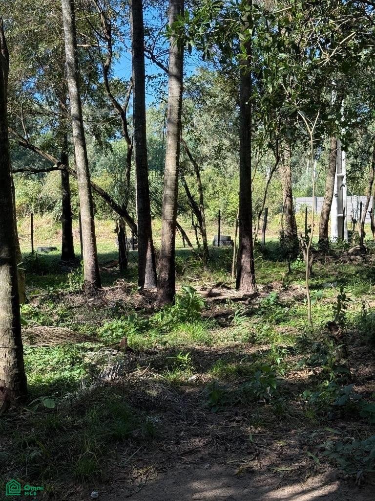 Land in San Bernardino, Cordillera Department, Paraguay 5 - 18494508