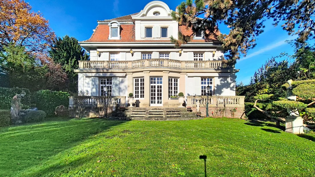 Villa in Mulhouse, Switzerland 1 - 18527561