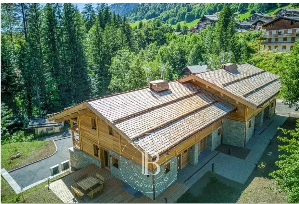 Apartment in Le Grand-Bornand, Auvergne-Rhône-Alpes, France 1 - 18526839