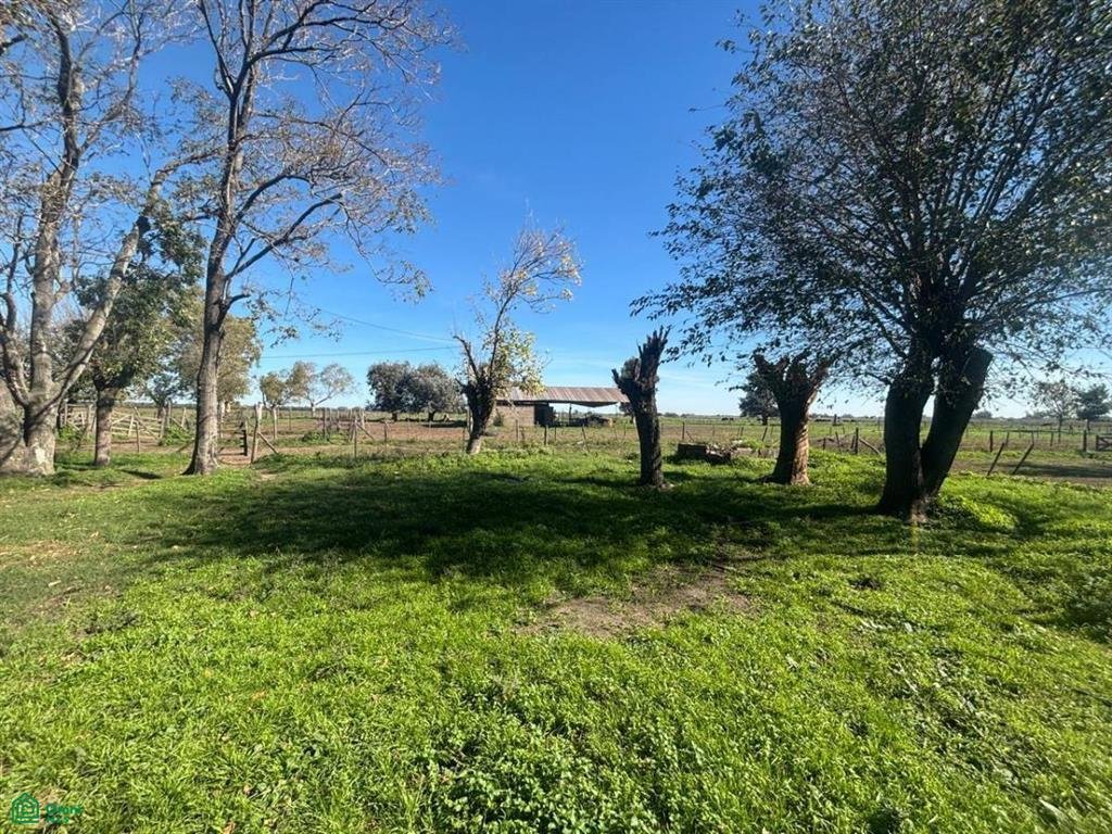 Condo in General Rodríguez, Buenos Aires Province, Argentina 4 - 17778050