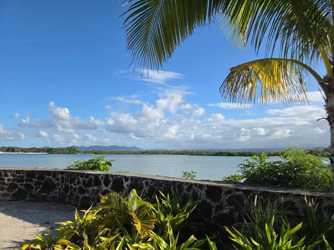Villa in Poste Lafayette, Rivière du Rempart District, Mauritius 3 - 18527806