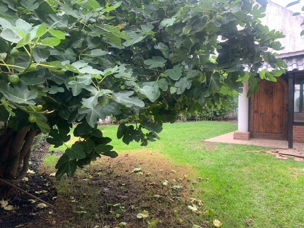 Condo in Llano Grande, State of Mexico, Mexico 5 - 18528835