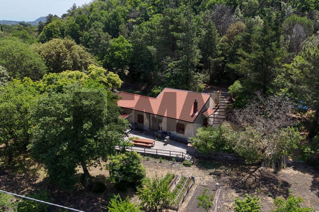 Land in Nicolosi, Sicily, Italy 4 - 18530141