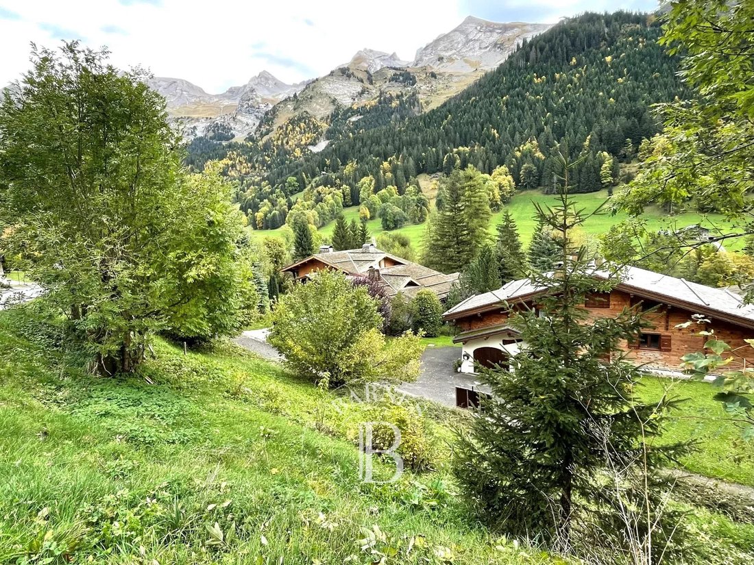 Land in La Clusaz, Auvergne-Rhône-Alpes, France 4 - 18526963