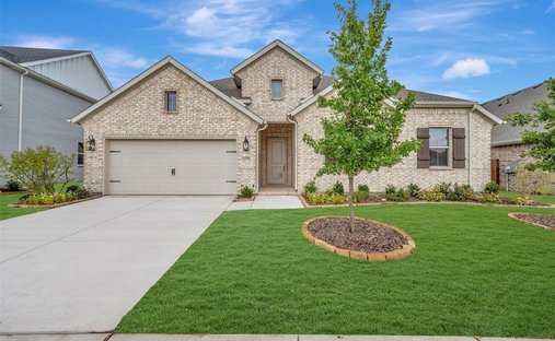 Casa en Nevada, Texas, Estados Unidos 1