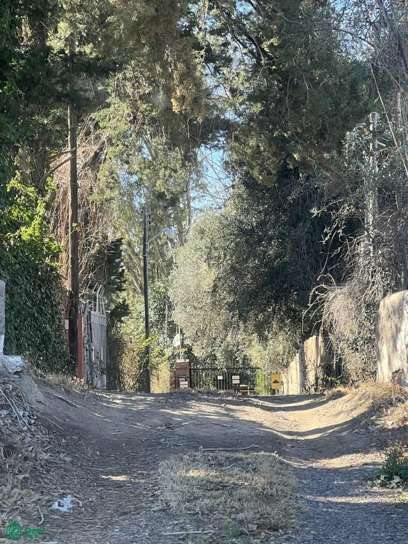 House in La Libertad, Mendoza Province, Argentina 1 - 18527550