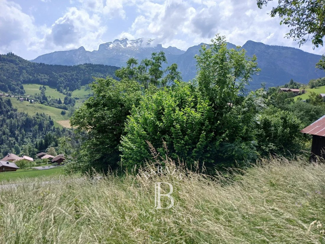 Land in Manigod, Auvergne-Rhône-Alpes, France 5 - 18527013