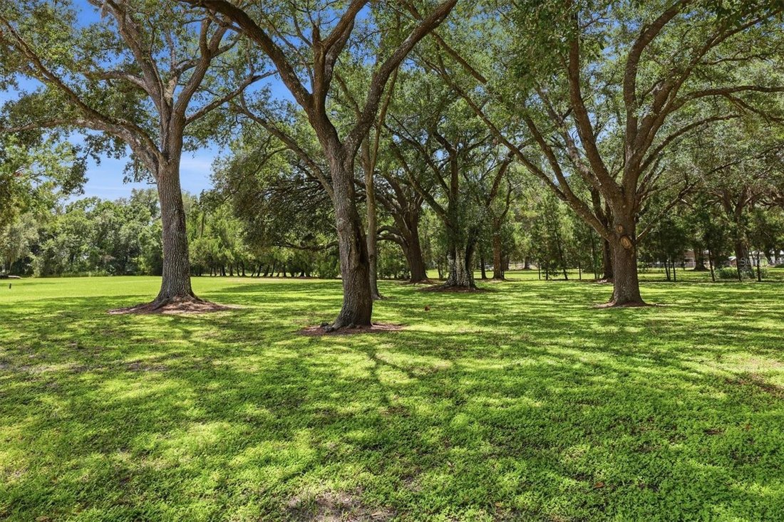 House in Arcadia, Florida, United States 5 - 18528299