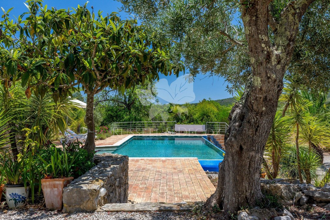 Villa in Santa Catarina da Fonte do Bispo, Algarve, Portugal 3 - 15832944