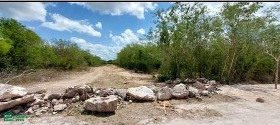 Land in Komchen, Yucatan, Mexico 1 - 18030331