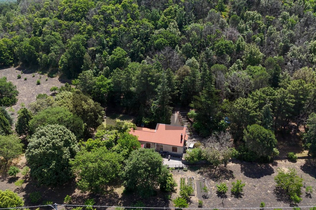 Land in Nicolosi, Sicily, Italy 3 - 18530141