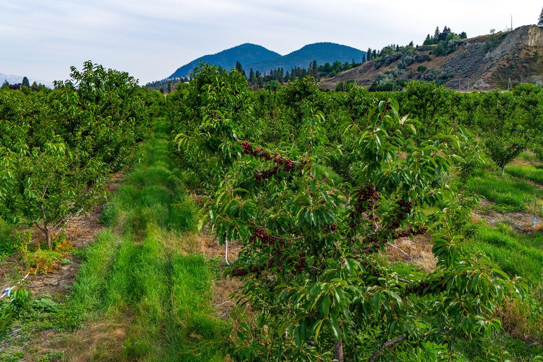 Summerland, British Columbia, Canada 2 - 18527372