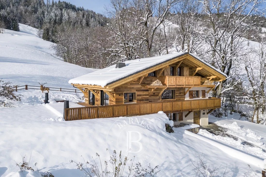 Chalet in Megève, Auvergne-Rhône-Alpes, France 3 - 18526763