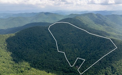 Land in Candler, North Carolina, United States 1