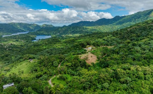 Land in Utuado, Utuado, Puerto Rico 1