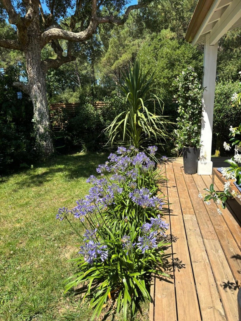 Villa in La Plage, Capbreton, France 4 - 18529956