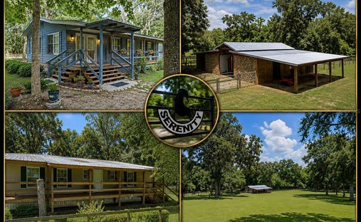 House in Williston, Florida, United States 1