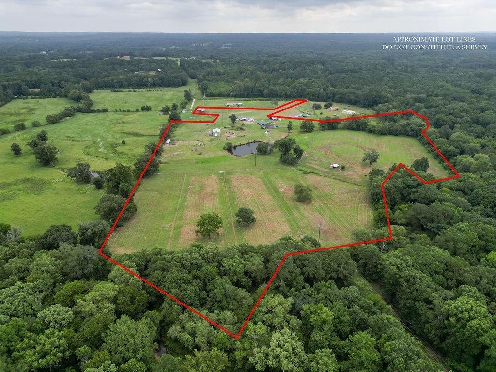 Farm Ranch in Quitman, Texas, United States 2 - 18527719