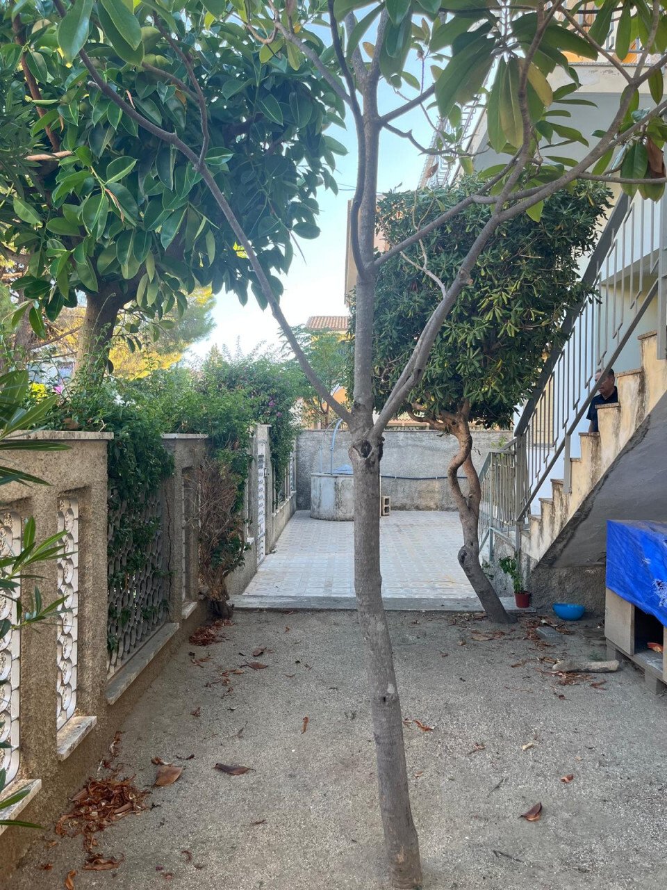 Villa in Calalunga-Pietragrande, Calabria, Italy 3 - 18529893