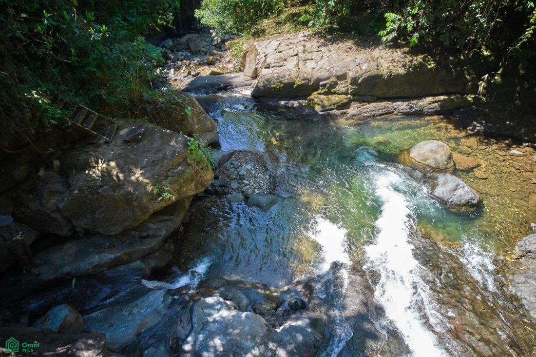 Land in Pérez Zeledón, Costa Rica 5 - 17811342