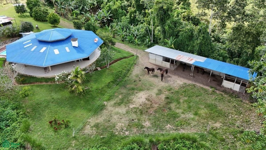 House in Pérez Zeledón, Costa Rica 2 - 17729056