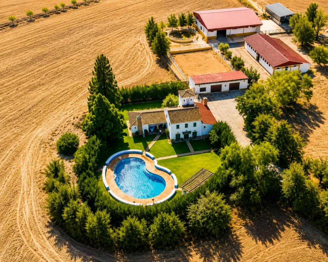 Country House in La Puebla de Cazalla, Andalusia, Spain 3 - 15453776