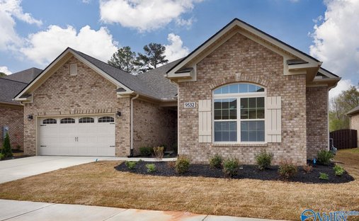 House in Madison, Alabama, United States 1