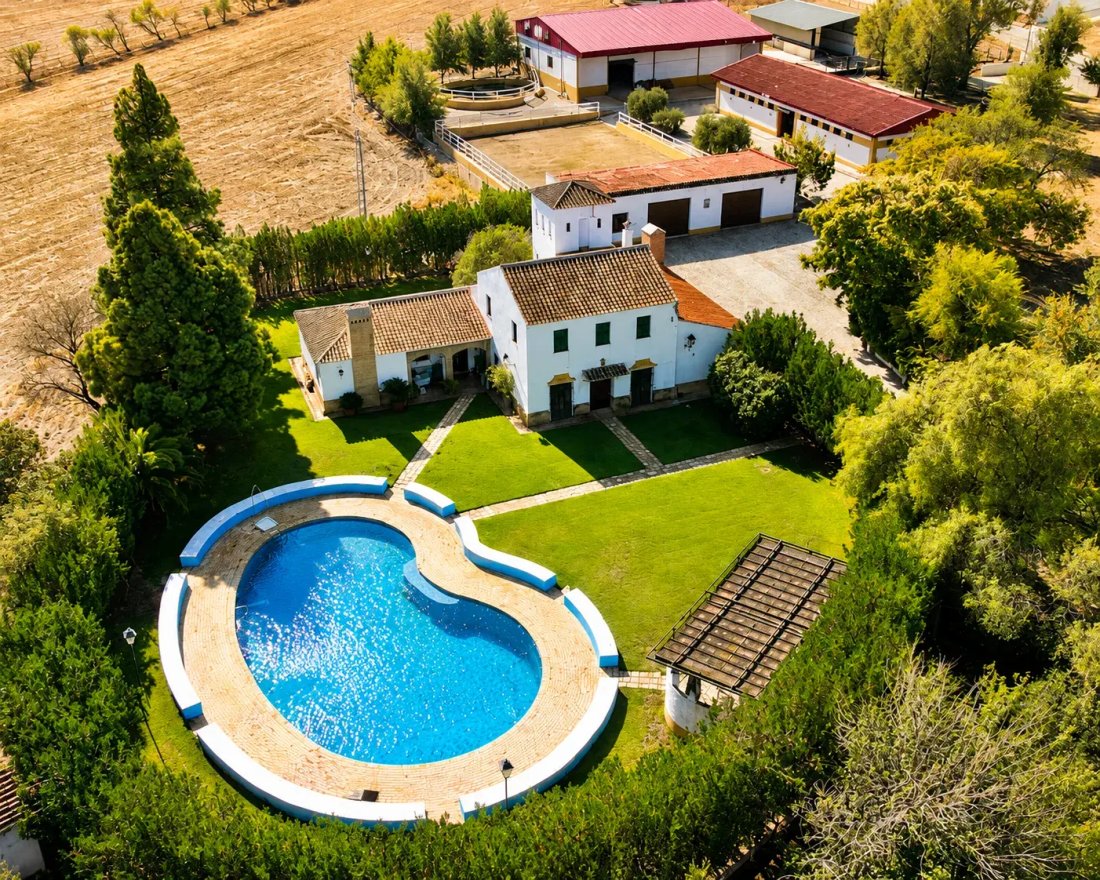 Country House in La Puebla de Cazalla, Andalusia, Spain 2 - 15453776