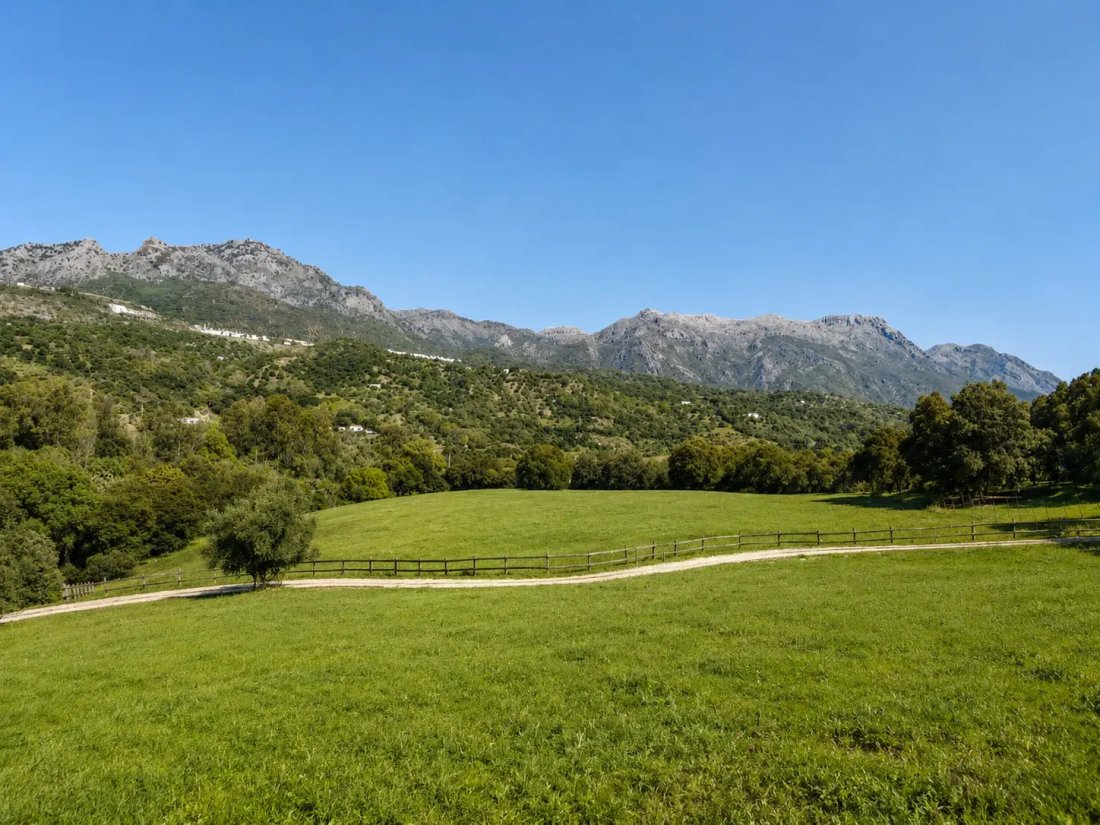 Country House in Cortes de la Frontera, Andalusia, Spain 3 - 18530316