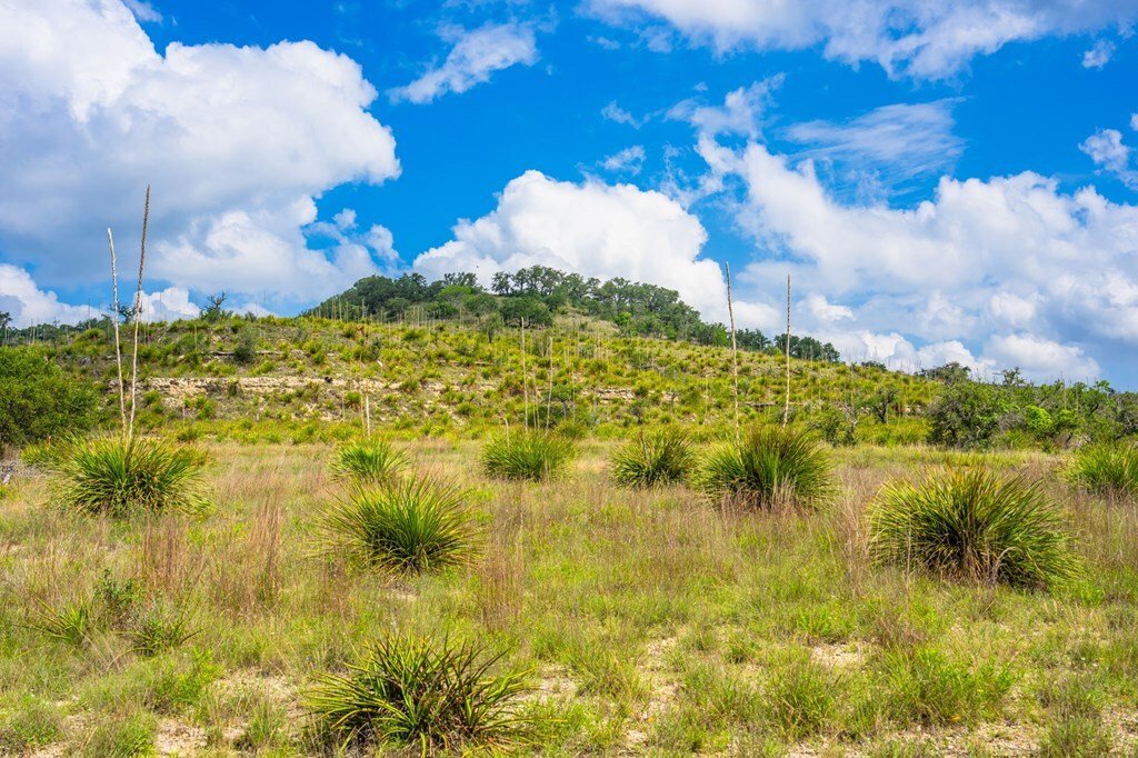 House in Wimberley, Texas, United States 3 - 18528221