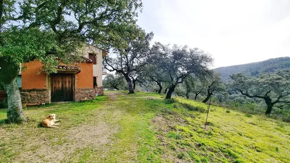 Country House in Fuenteheridos, Andalusia, Spain 2 - 15365334