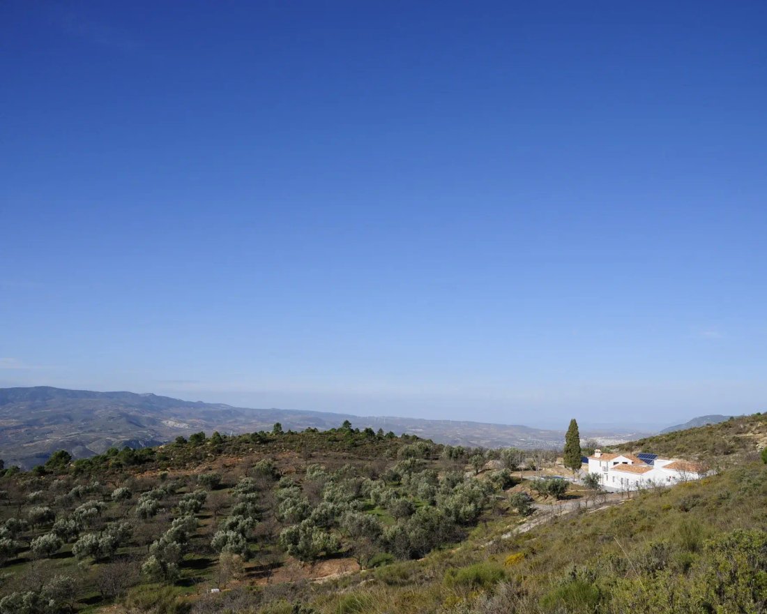Lecrin, Andalusia, Spain 2 - 12356015